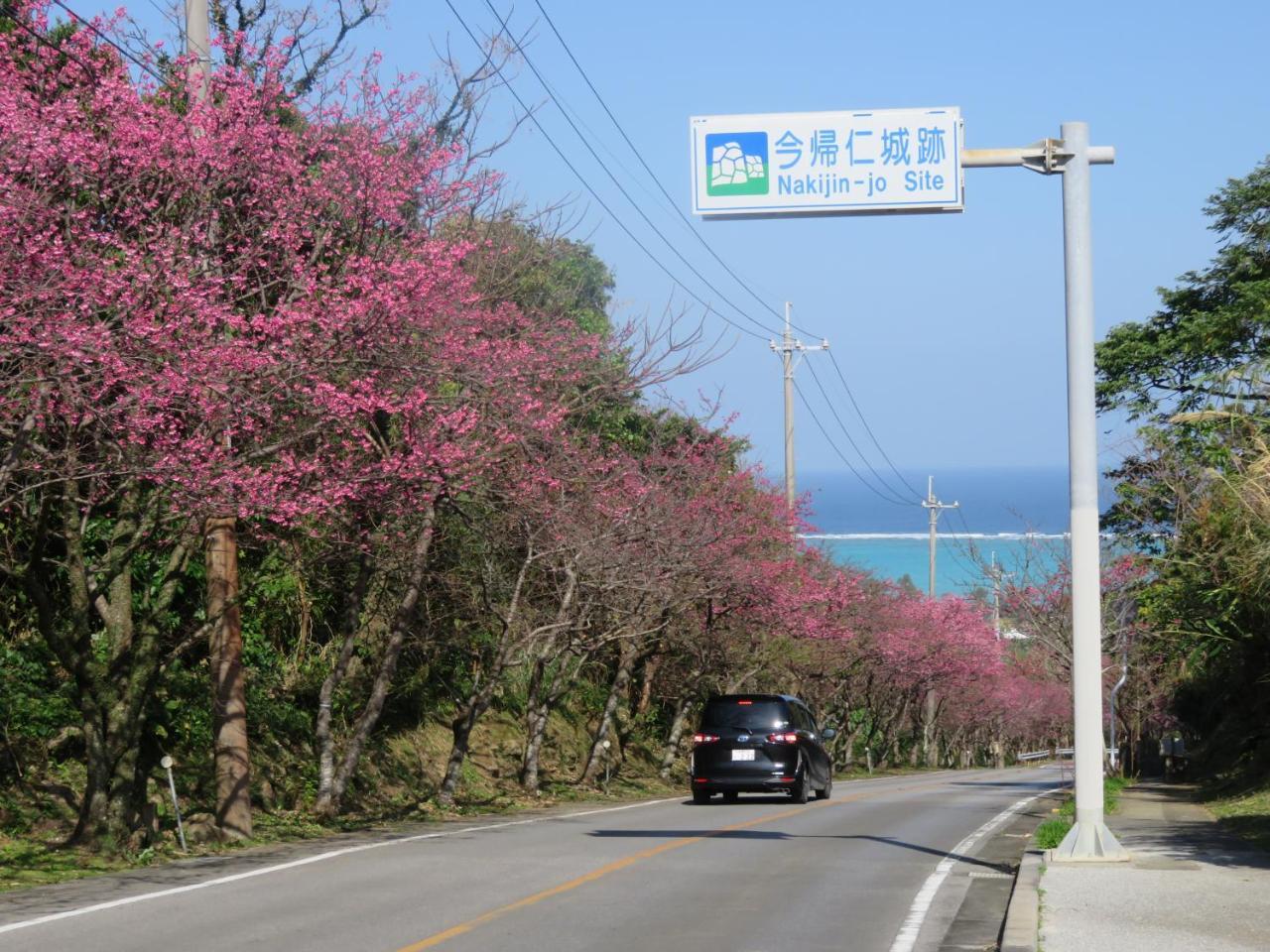 فيلا Okinawa Freedom ناكيجين المظهر الخارجي الصورة